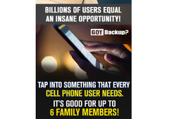 THIS GROW OUR Online business into a.........