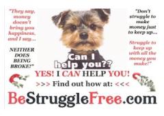 UNLIMITED INCOME POTENTIAL