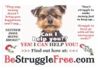 UNLIMITED INCOME POTENTIAL