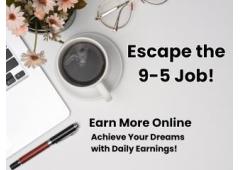 home based business get paid daily you are in business nener alone call the owner admin anytime