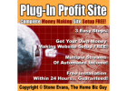 Say Goodbye to the 9-5 Grind and Hello to $1000 Paydays: Discover the Power of Working from Home!