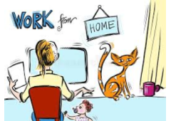 Do you Need a Cruise?